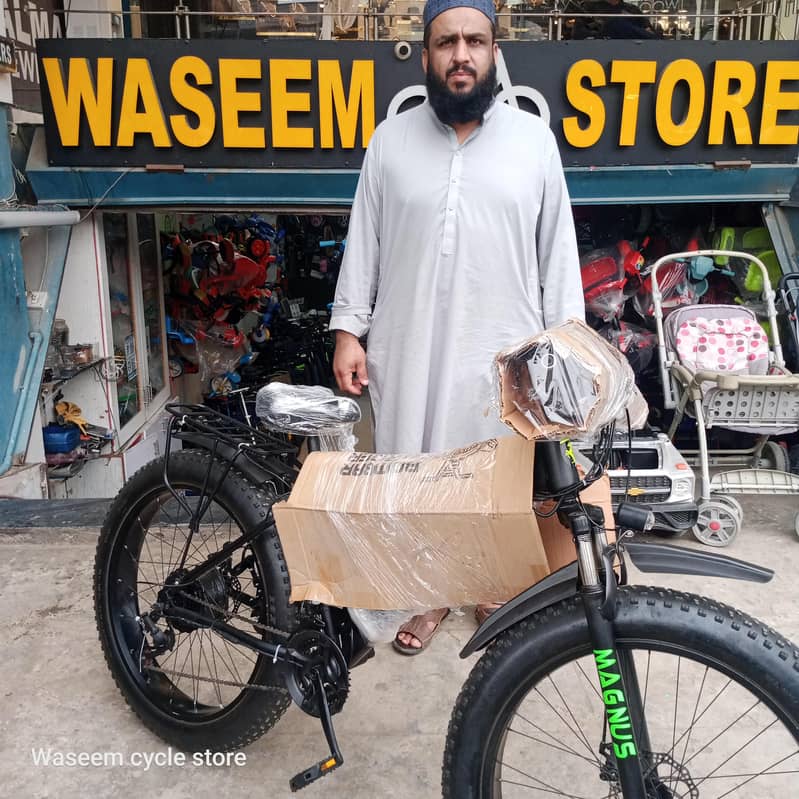 electric cycle 4