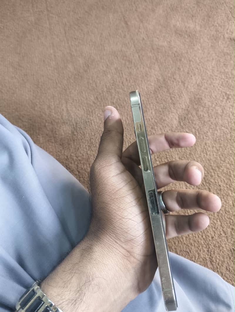 Apple iPhone 12 Pro Max 2