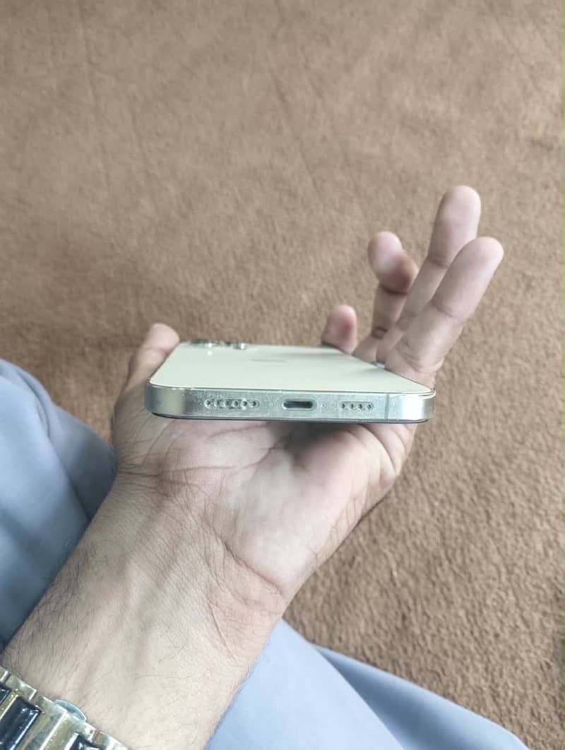 Apple iPhone 12 Pro Max 4