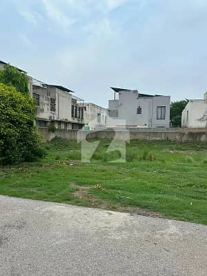 Plot No-650 Block Z6 - 5 Marla Plot On Top Location of Phase 8 ivy Green DHA Lahore For Urgent Sale