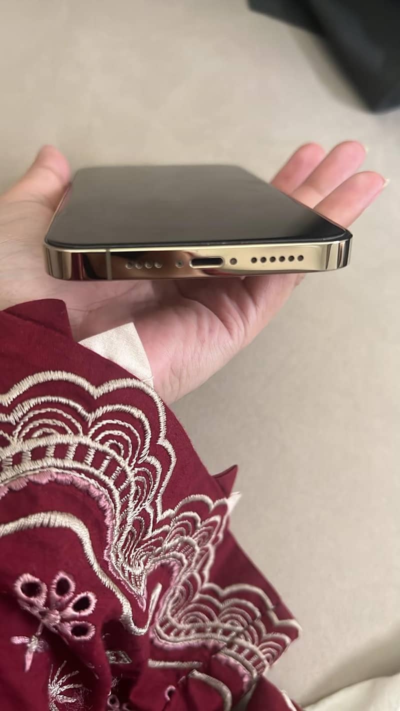 Apple iPhone 13 Pro Max 0
