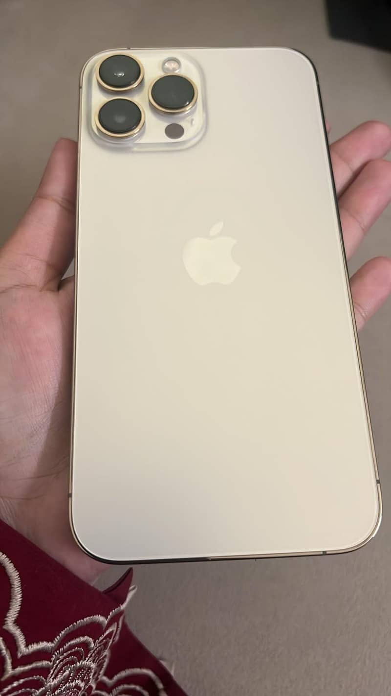 Apple iPhone 13 Pro Max 1