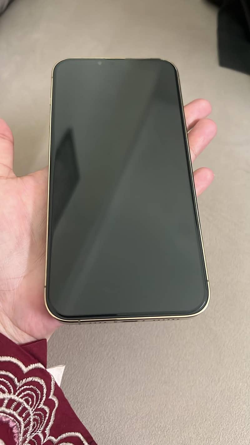 Apple iPhone 13 Pro Max 2
