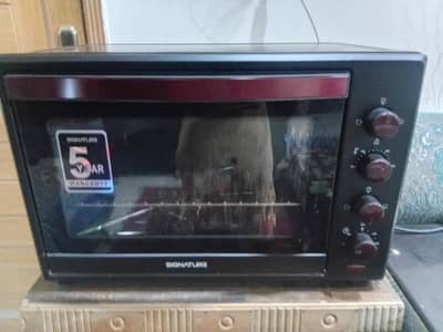 Electronic Oven
