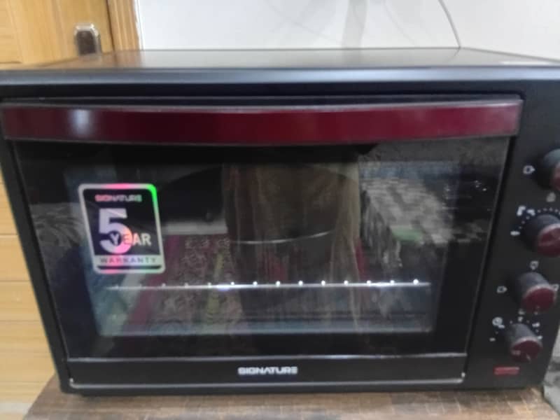 Electronic Oven 1