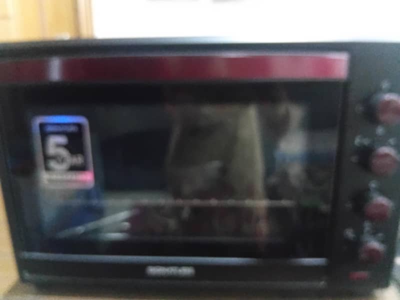 Electronic Oven 6