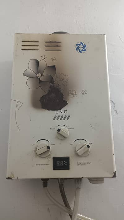 Gas Instant geyser