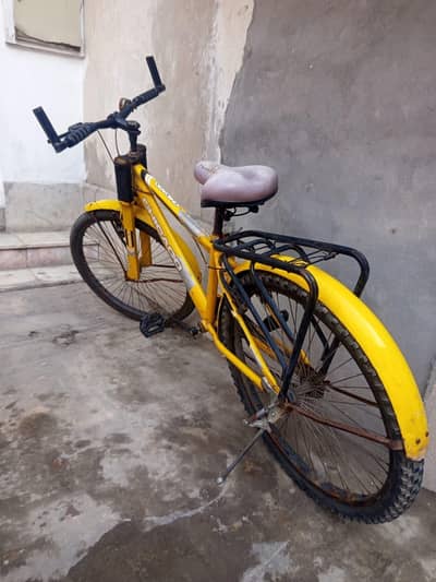 Chicago bicycle for sale