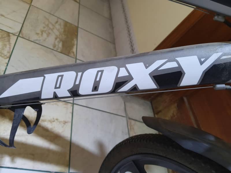 ROXY cycle new condition 1