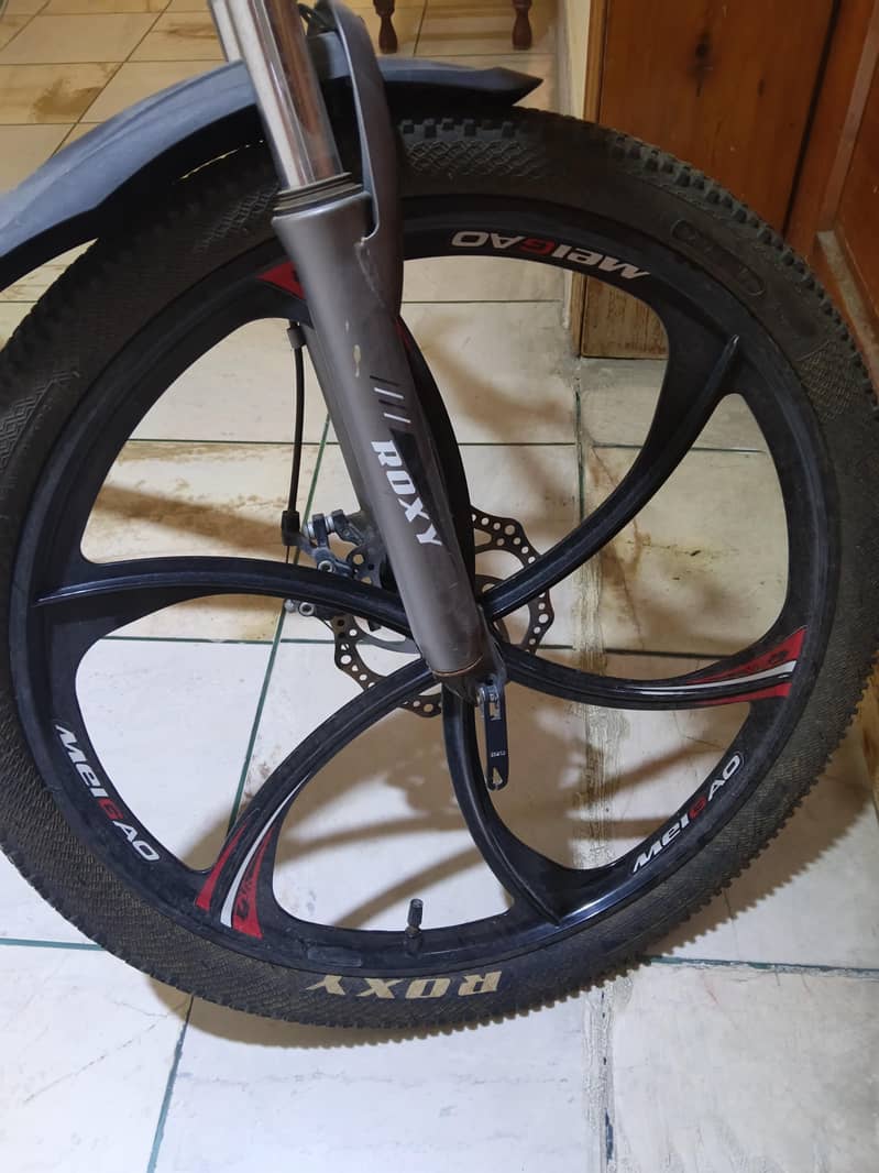 ROXY cycle new condition 2