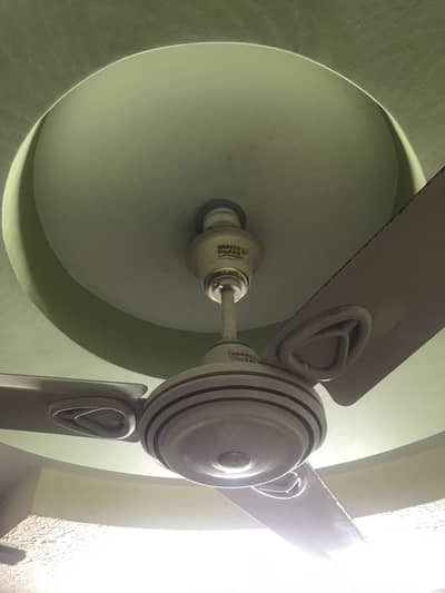 Ceiling Fan
