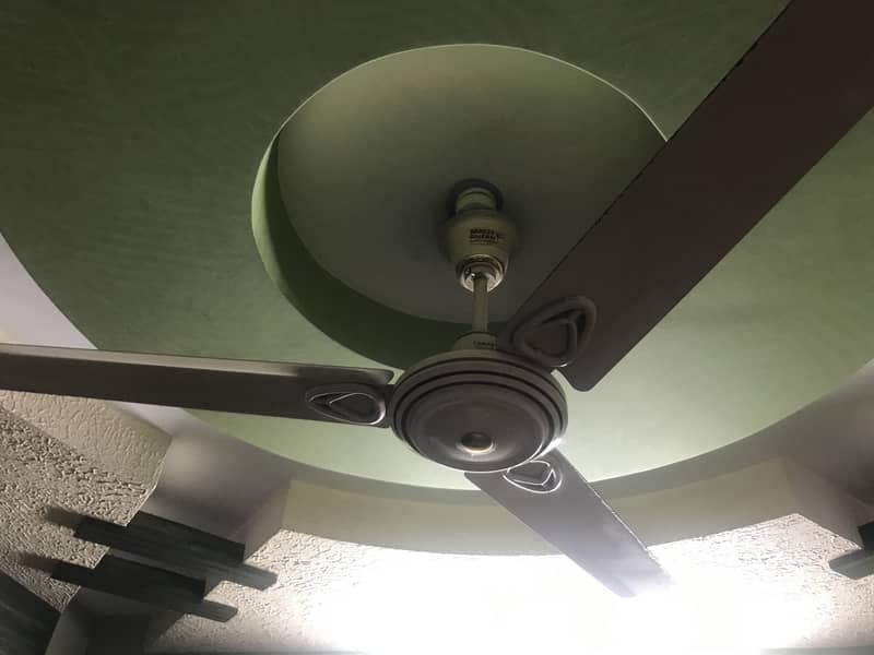 Ceiling Fan 1