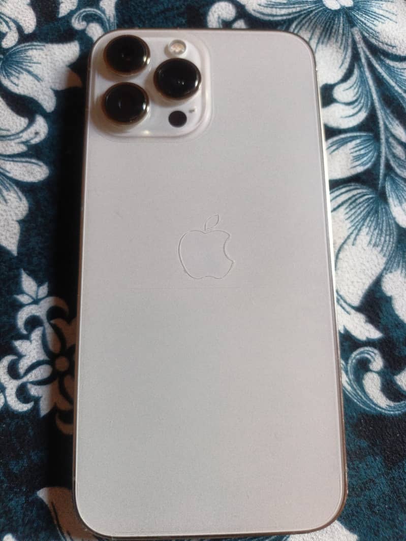 Apple iPhone 13 Pro Max 0