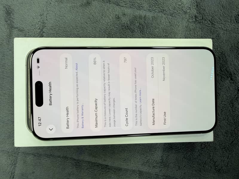 Apple iPhone 15 Pro Max 1