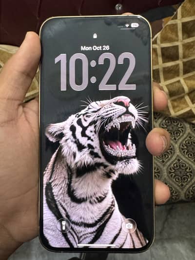 Apple iPhone 13 Pro Max 256 gb Jv