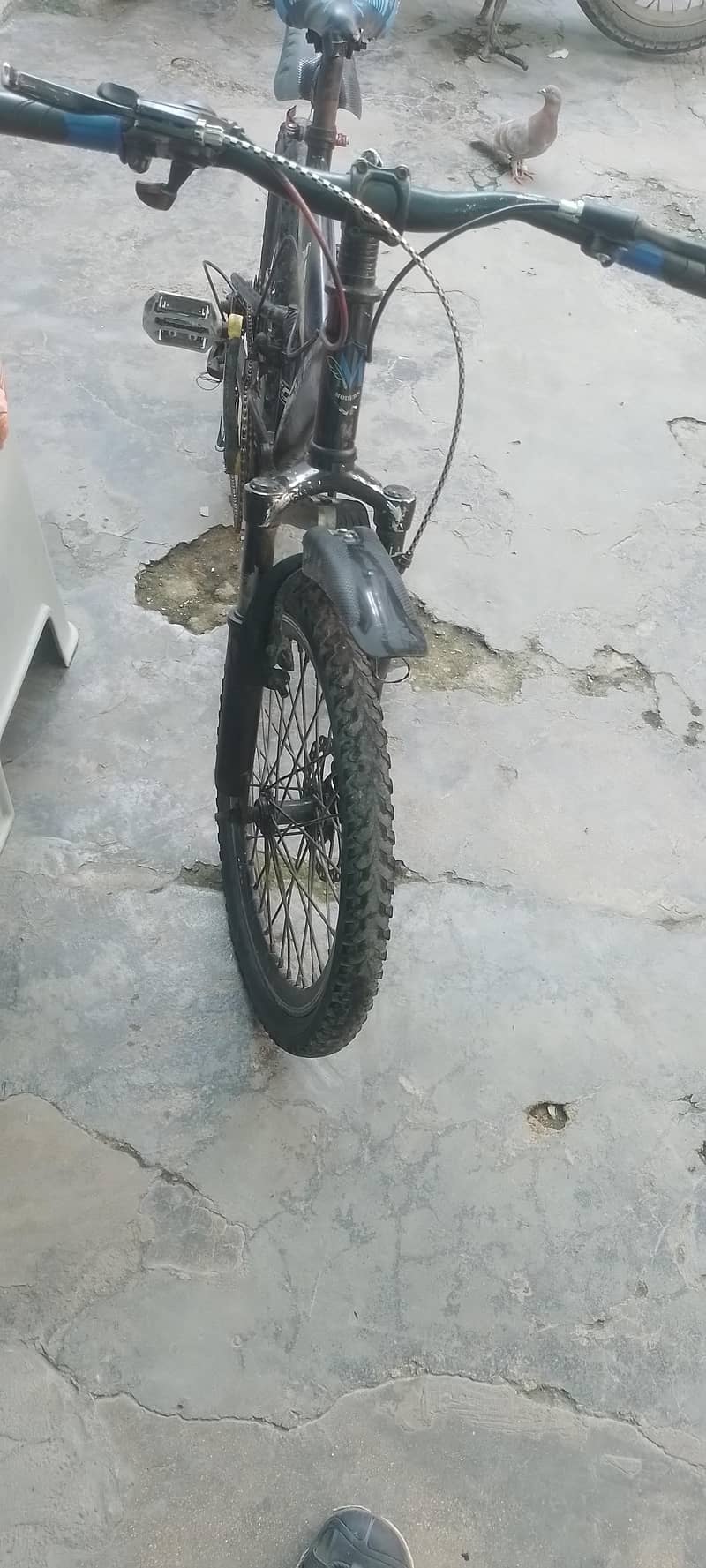 shah g 7