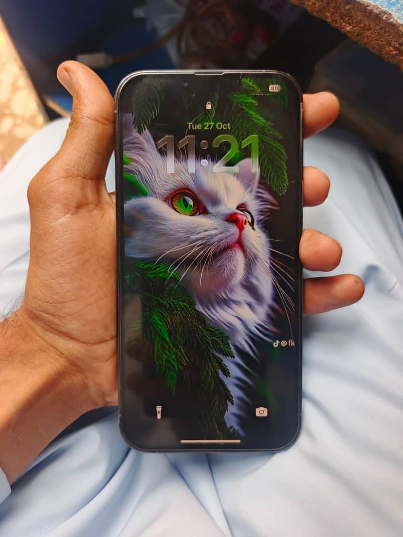 Apple iPhone 13 Pro Max 5