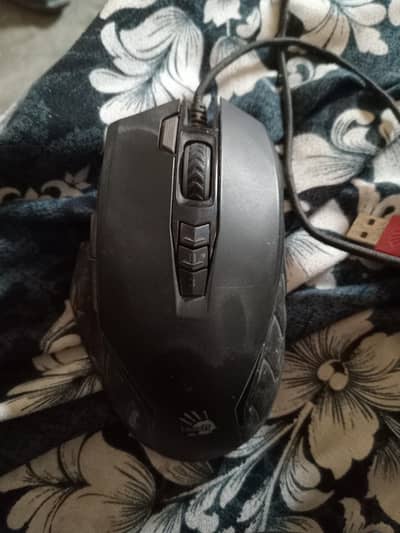 mouse