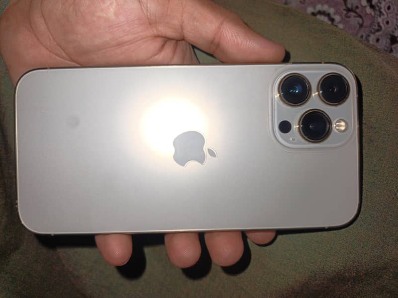 Apple iPhone 13 Pro Max 0