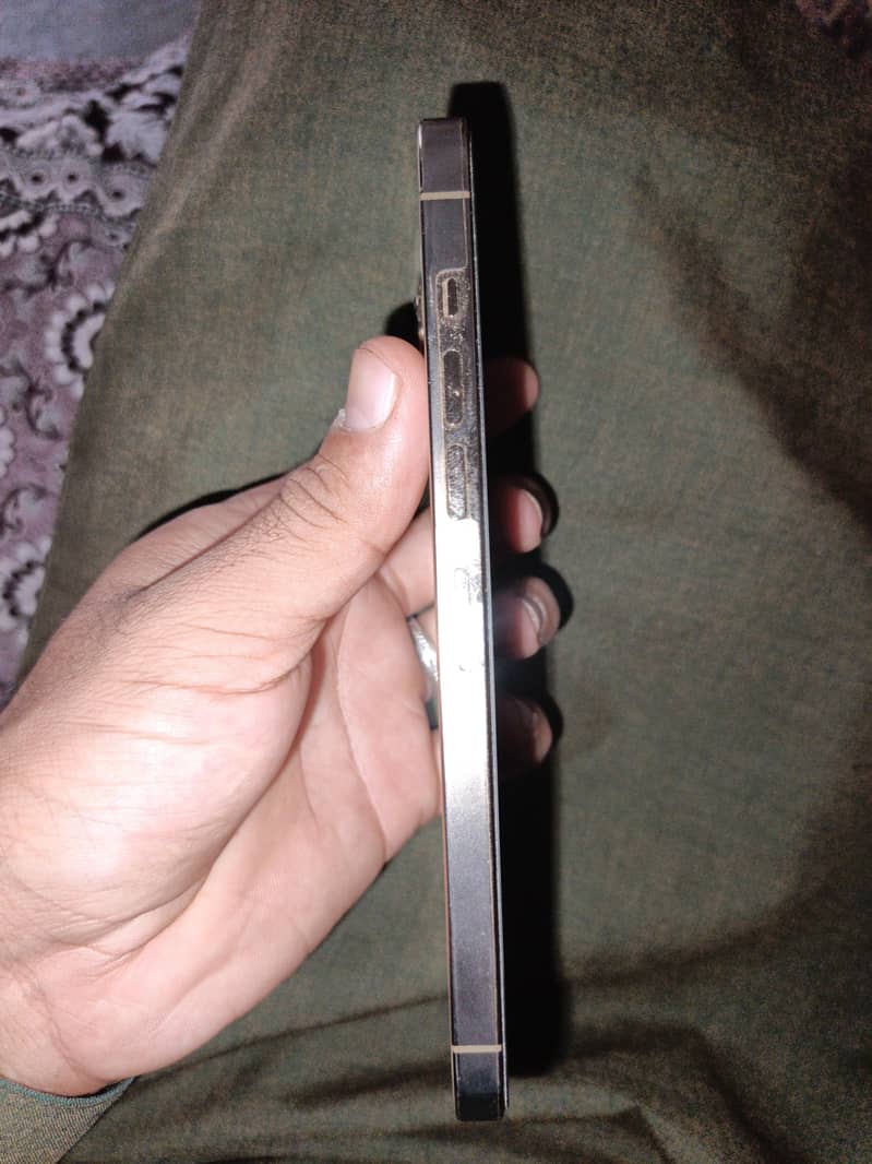 Apple iPhone 13 Pro Max 3