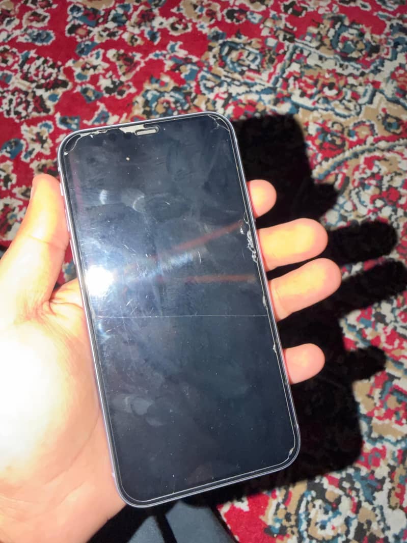 Apple iPhone 11 2