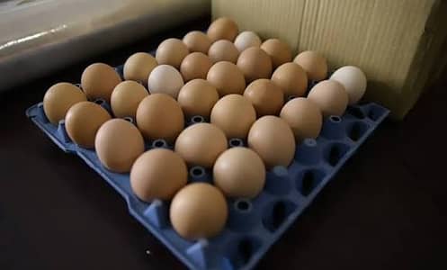 Eggs /Fresh Desi Eggs/ brown eggs/golden misri eggs /organic Desi eggs
