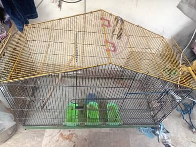 Parrots Cage for Sale