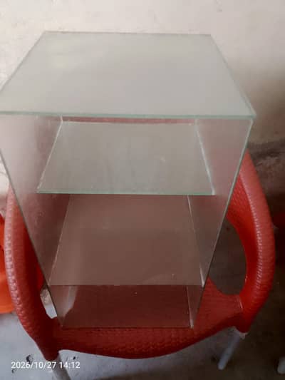 burger counter and samosa chips counter
