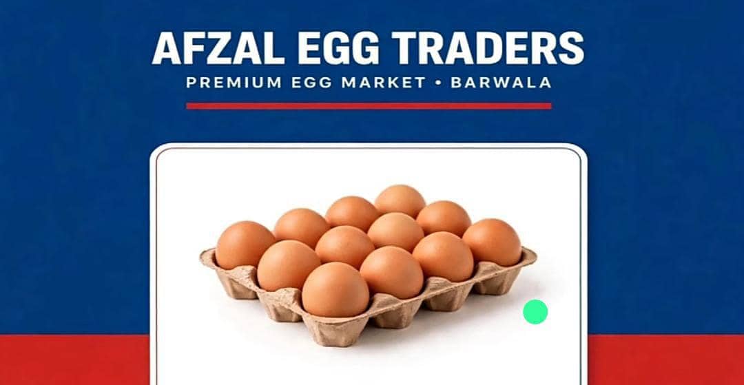 dasi eggs 1