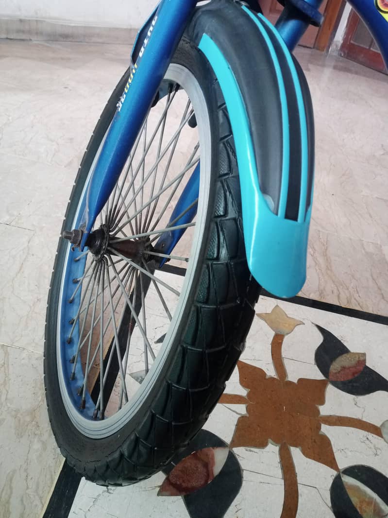 Bicycle 6