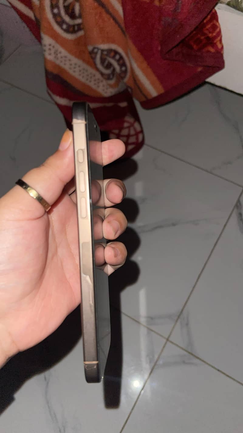 Apple iPhone 16 Pro Max 1