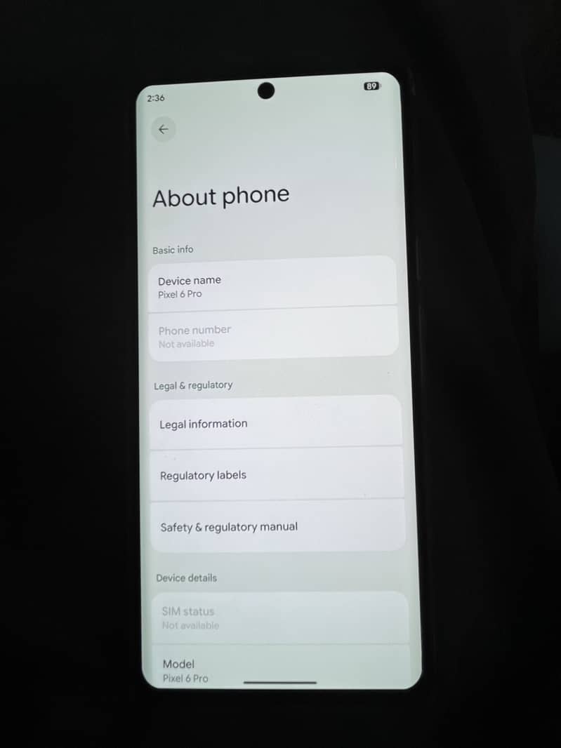Google Pixel 6 Pro 2