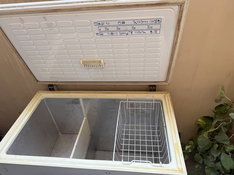 Imported DFreezer 1