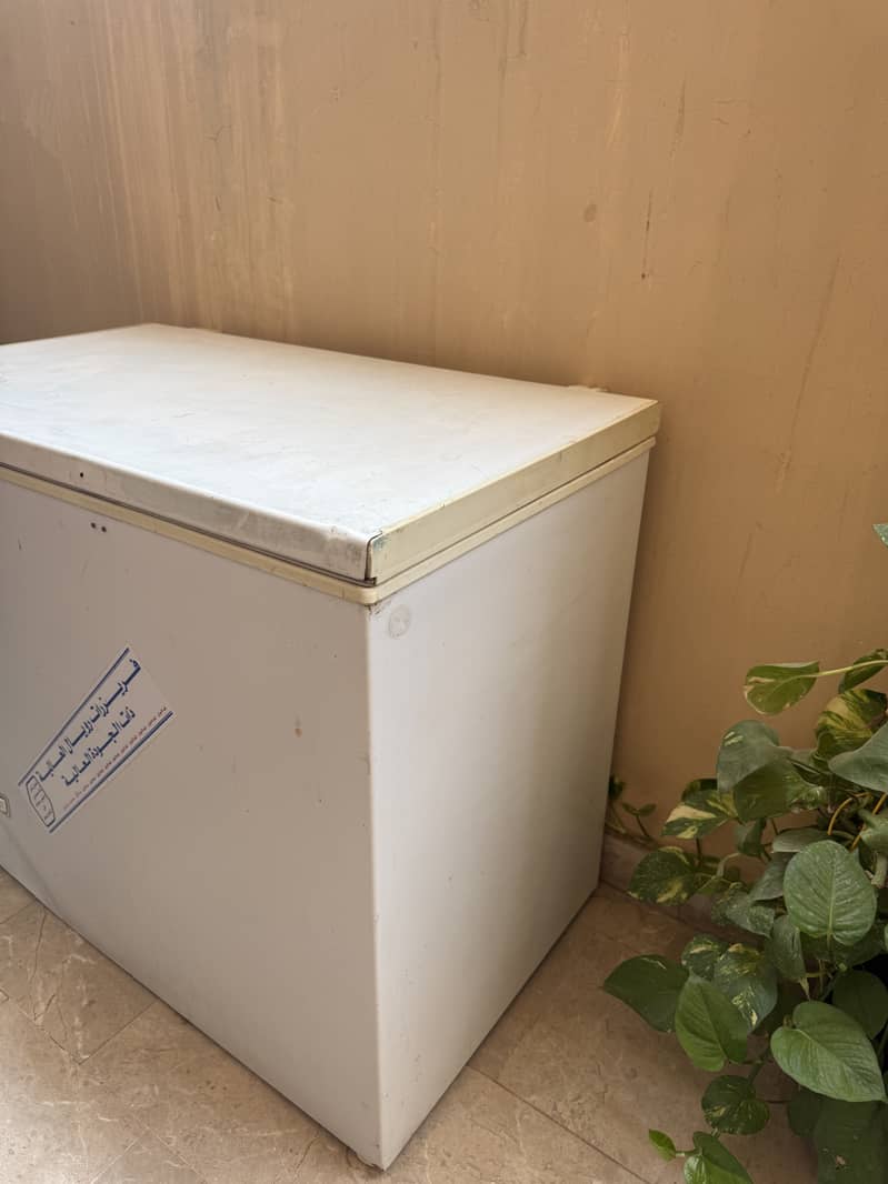Imported DFreezer 3