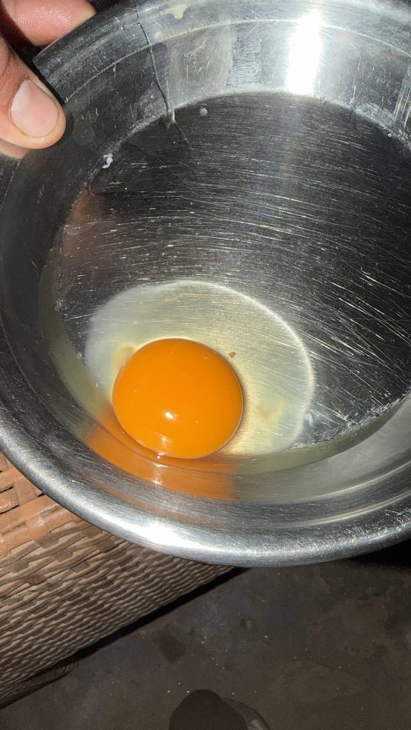 Desi egg 1