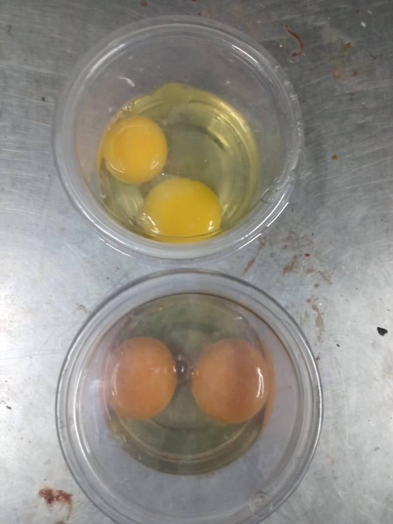 Desi egg 2
