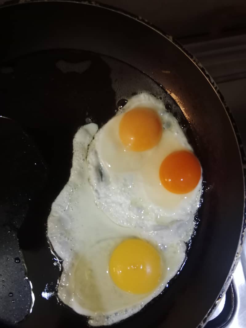 Desi egg 4