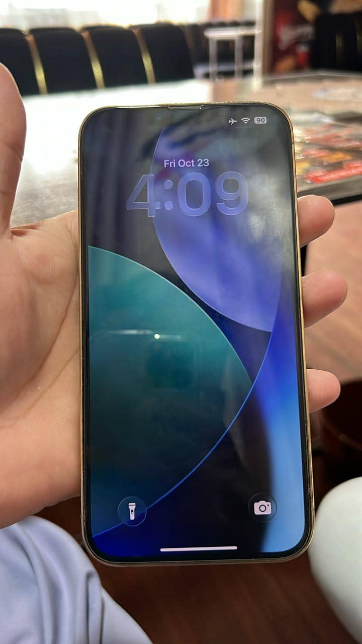 Apple iPhone 13 Pro Max 1