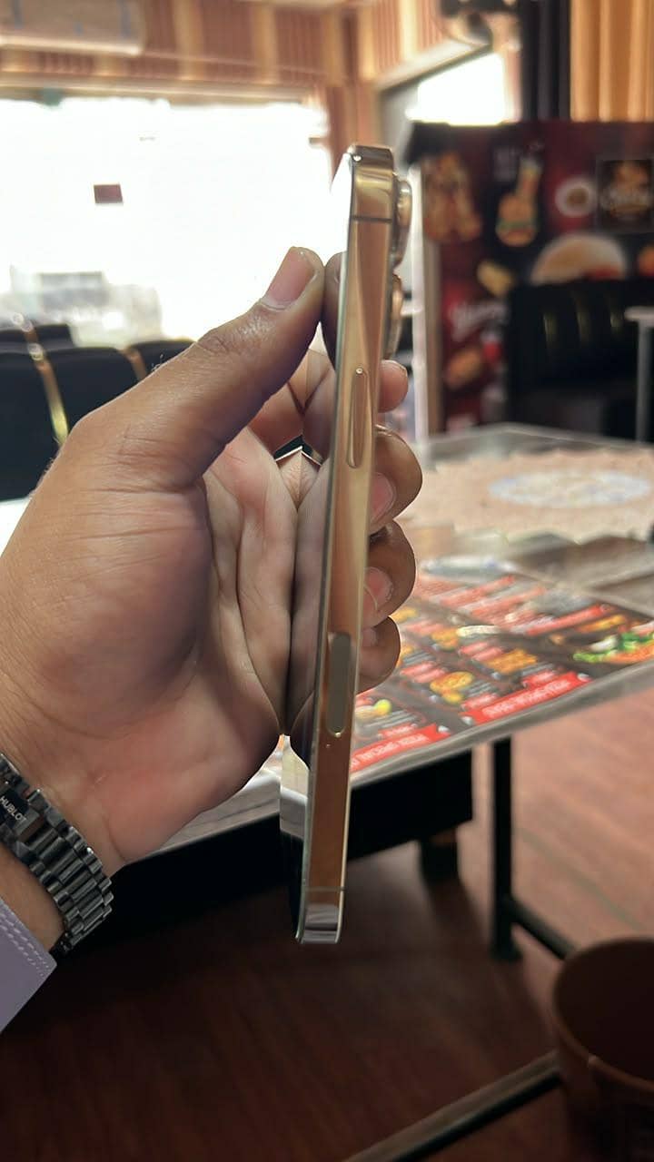 Apple iPhone 13 Pro Max 2