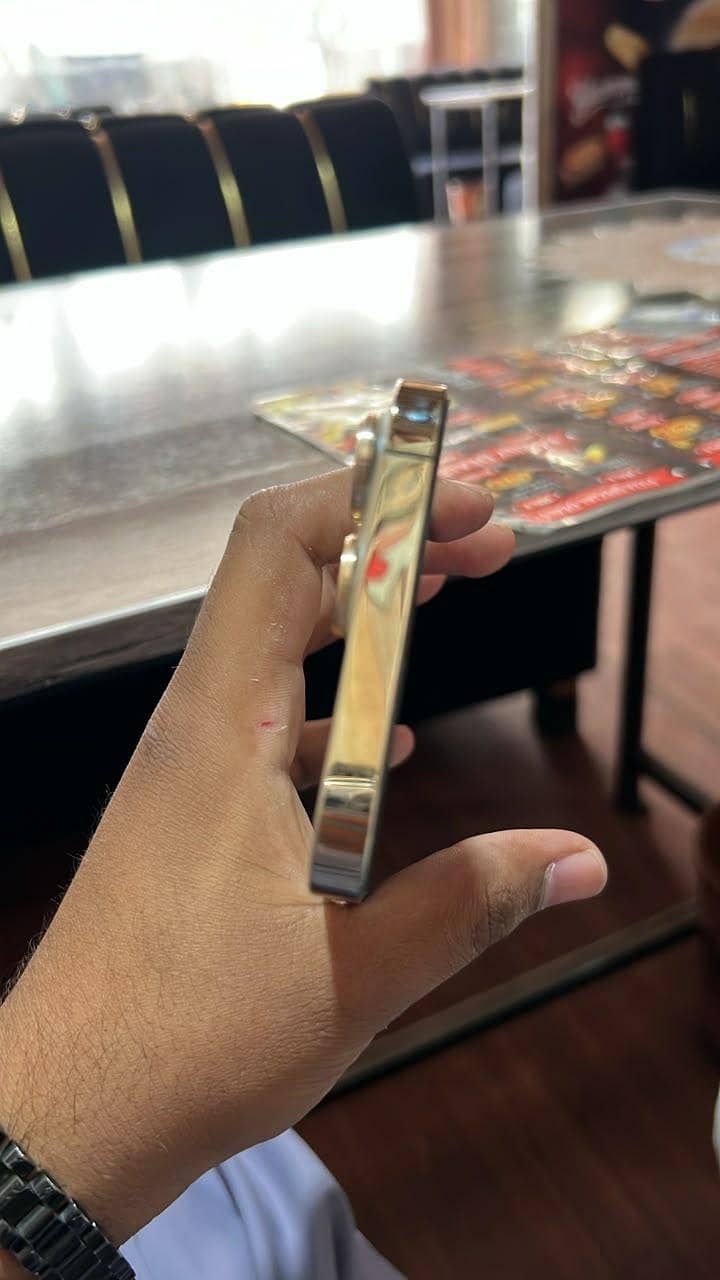 Apple iPhone 13 Pro Max 3