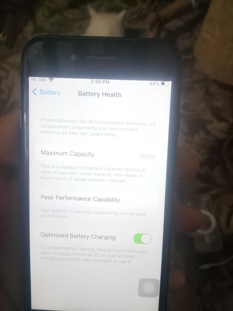 Apple iPhone 7 4