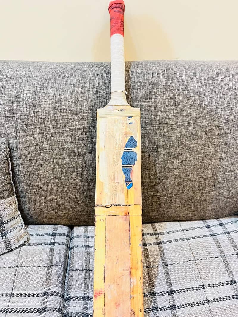 SS cricket bat 1