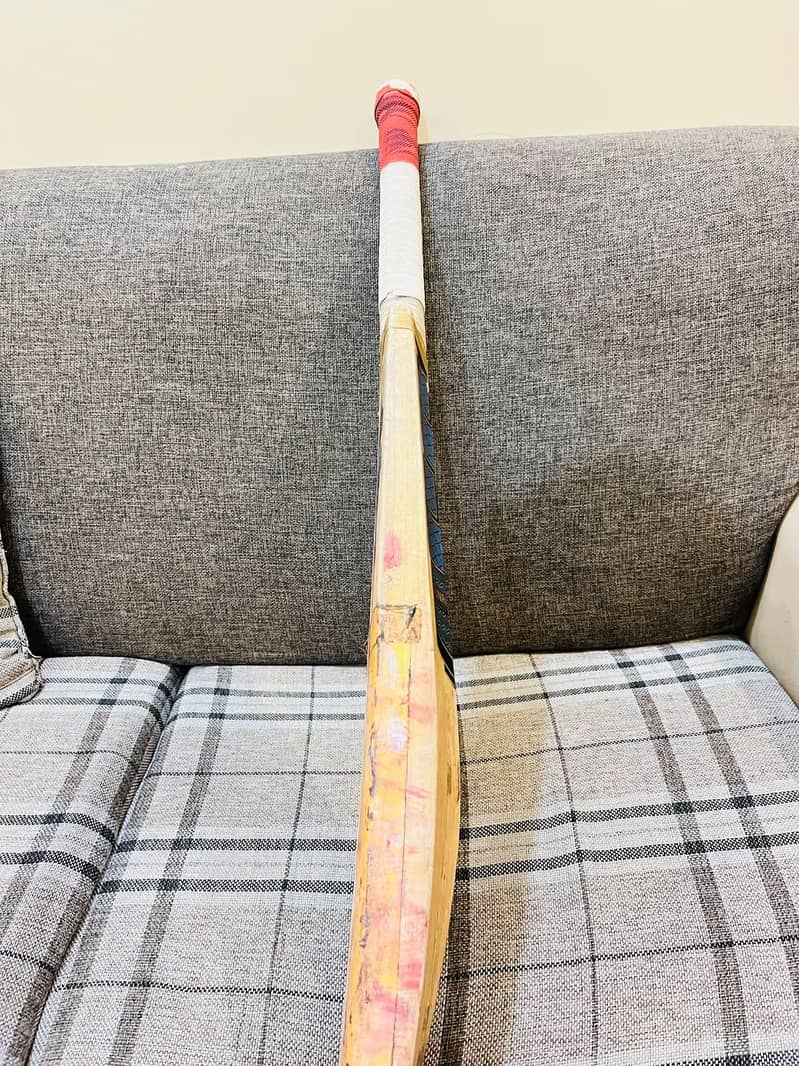 SS cricket bat 2