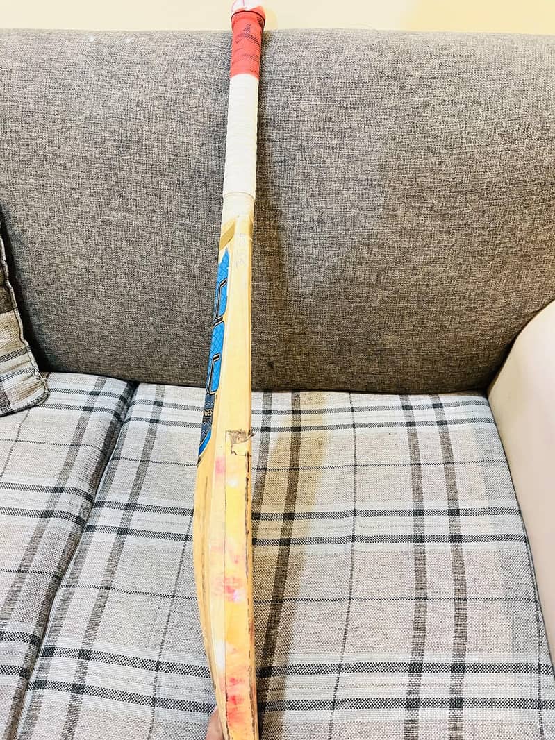 SS cricket bat 3