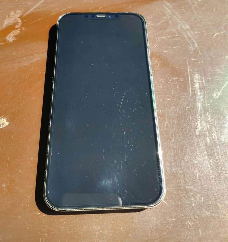 Apple iPhone 12 Pro Max 2