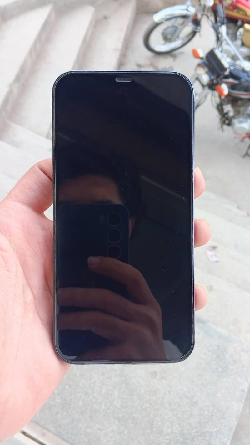 Apple iPhone 12 Pro Max 1