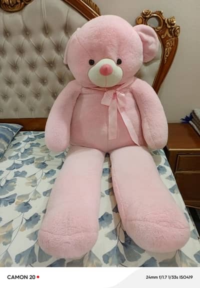ready bear