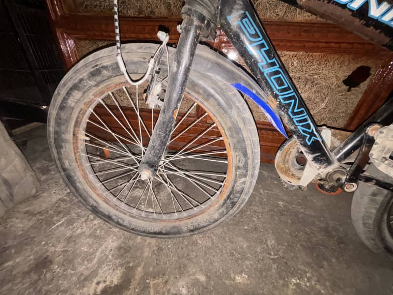 Cycle 2