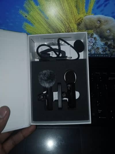 wireless bluk's mic