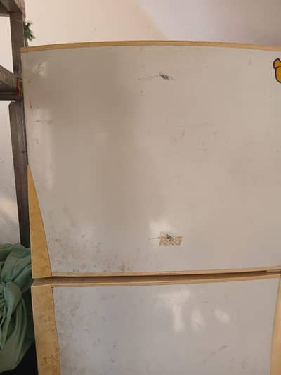 teka refrigerator